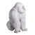 Escultura Gorila Albino na internet