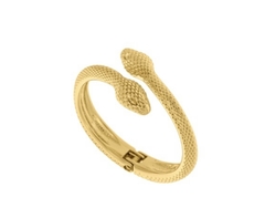 Bracelete Cobra na internet