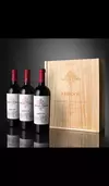 Vertical Achaval Ferrer Finca Mirador