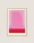 Pink and Red Gradient - comprar online