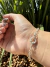 PULSEIRA FEMININA ROLO´LIGHT SIGH F060 PRATA 925 ITALIANA