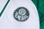 Conjunto de Treino Palmeiras 23/24 - Masculino na internet