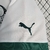 Camisa Palmeiras 23/24 - comprar online