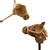 Cavalo de pau com rodas e som (pelúcia) - comprar online