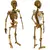 Imagem do Esqueleto Humano Quebra-Cabeça 3D