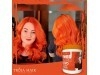 Mascara Tonalizante Troia collor Ruivo Troia Hair 500gr - comprar online