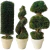 Arranjo Topiaria
