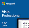 Licencia Visio Profesional 2021