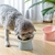 2 pçs tigela de gato pé alto tigela de cão 45 ° protetor de pescoço de comi - AFA SHOP