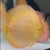 Albino Golden Panthera Eruption 7-8cm - Disco Importado - comprar online