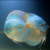 Scorpion Snake Na Discus - comprar online