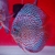 Indiana Tiger Na discus - comprar online