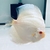 Albino Platinum Na Discus - comprar online