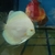 Albino Platinum Na Discus