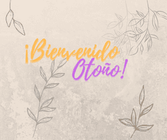 Banner de la categoría SNEAKERS