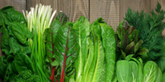 Banner de la categoría Verdura de Hoja