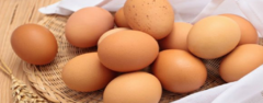 Banner de la categoría Huevos