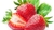 Frutilla por kilo en internet