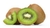 Kiwi por kilo - comprar online