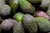 Palta Hass Ch. por kilo en internet