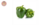 Pimiento verde por unidad