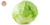Lechuga Repollada por unidad