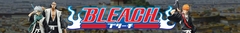 Banner da categoria Bleach