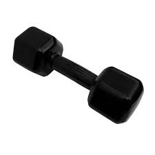 Halter Sextavado pintado 2kg -Treine em casa musculação e crossfit na internet
