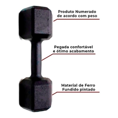 Halter Sextavado pintado 1kg -Treine em casa musculação e crossfit
