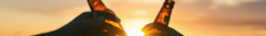 Banner de la categoría Artículos Cerveceros