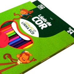 KIT 6 CAIXAS LÁPIS DE COR COM 24 CORES LEO&LEO ECO - comprar online