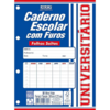 CADERNO ESCOLAR COM FUROS C/96 FOLHAS 14X21CM SD