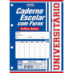 CADERNO ESCOLAR COM FUROS C/96 FOLHAS 14X21CM SD