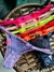 Calcinha Bordado Rendada com Regulagem Sensual - Hericka Lingerie
