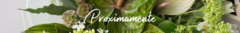 Banner de la categoría Father´s Day