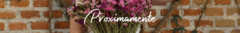 Banner de la categoría Flower Bouquets 2025