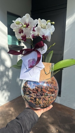 Condolencias Orquidea Personalizado en internet
