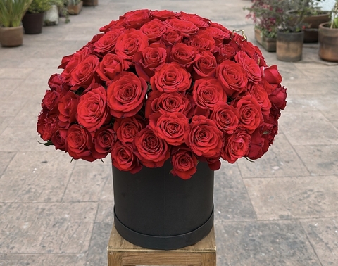100 Roses Box