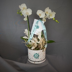 Condolencias Orquidea Personalizado - tienda en línea