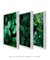 Quadro Decorativo - Folhas Verde Fundo Preto Trio