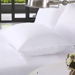 Protetor de Travesseiro Altenburg Impermeável Malha Slim 50cm x 70cm - SONHO DE CASA ENXOVAIS