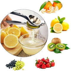 Espremedor Manual de Limão Laranja 22cm Premium Robusto em Aço Inox Profissional, Alta Qualidade
