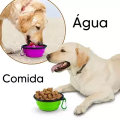 Comedouro e Bebedouro para Passeio com Pets na internet