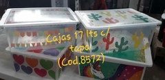CAJA 17 LTS C/ TAPA MM