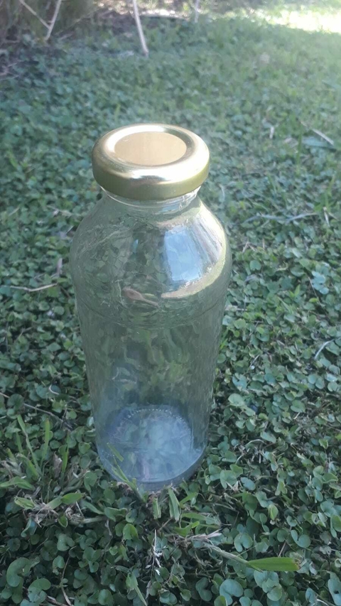 BOTELLA VIDRIO 500 ML C/TAPA