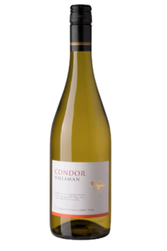 PORTUGUÊS CONDOR CHARDONNAY