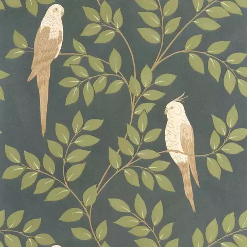 106527254 - comprar online