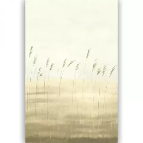 200082704 - comprar online