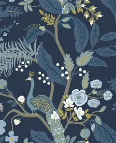 RI5172