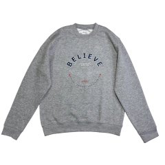Sweatshirt Gray_Believe